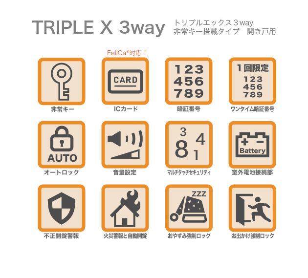 triplex-3