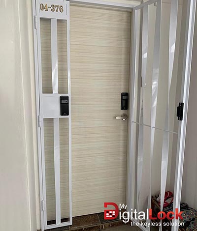 In House Laminate Fire Rated HDB Main Wooden Door