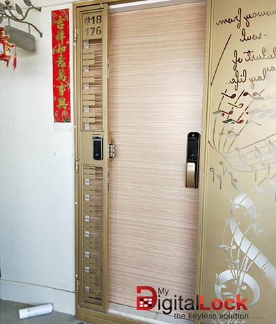 Veneer Fire Rated HDB Main Wooden Door