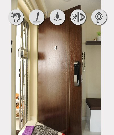 Veneer Solid HDB Main Wooden Door