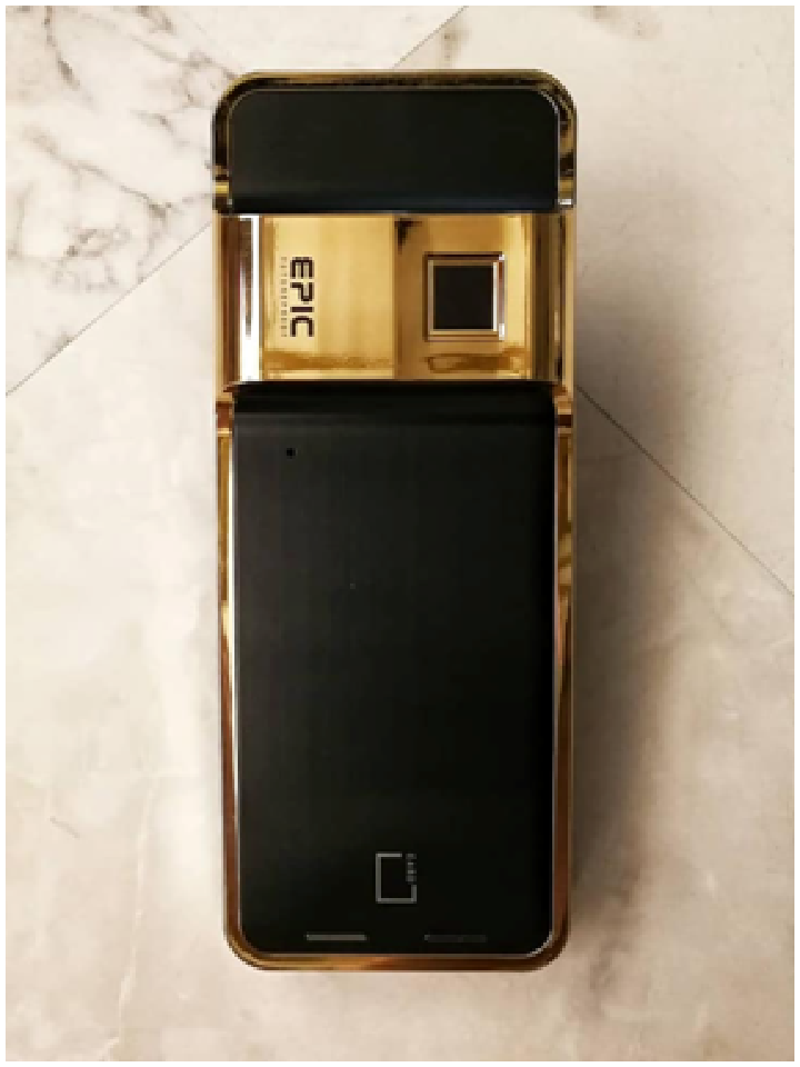EPIC-24K-Gold-Platted-Gate-Digital-Lock